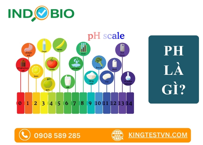 Độ pH là gì?